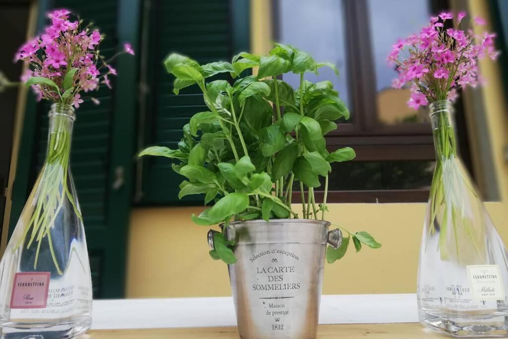 Flower Garden Apartment Vicino Al Centro Florencja Zewnętrze zdjęcie